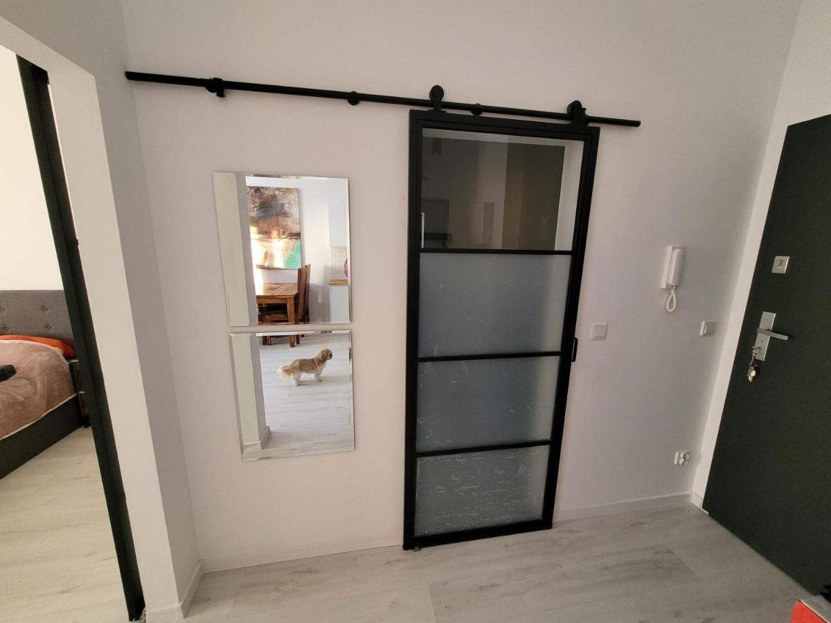 Apartament W Starym Mlynie Loft Rozanka Breslavia Esterno foto