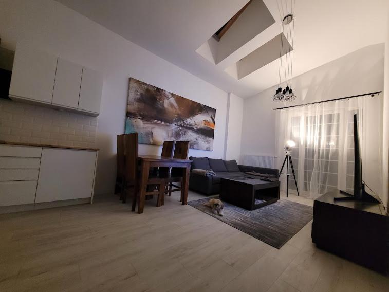 Apartament W Starym Mlynie Loft Rozanka Breslavia Esterno foto